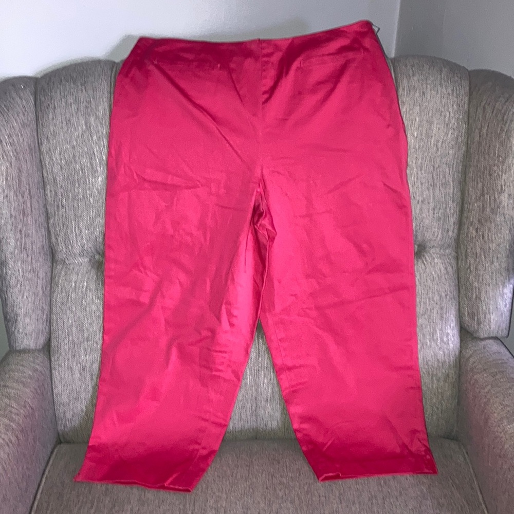 Talbots Pink Ankle Pants